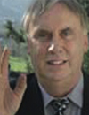 Tony Stockwell